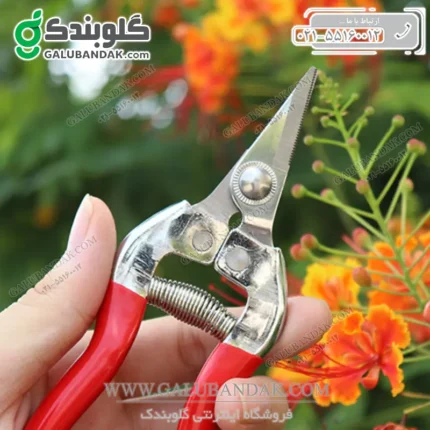 قیچی میوه چین سرکج سایز 27 میلی متر فونیکس ZG-17