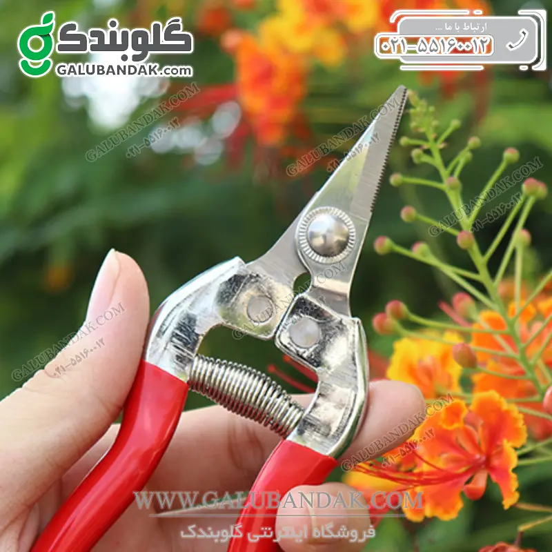 قیچی میوه چین سرکج سایز 27 میلی متر فونیکس ZG-17