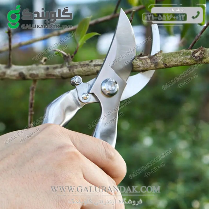 قیچی باغبانی مدل ZG08