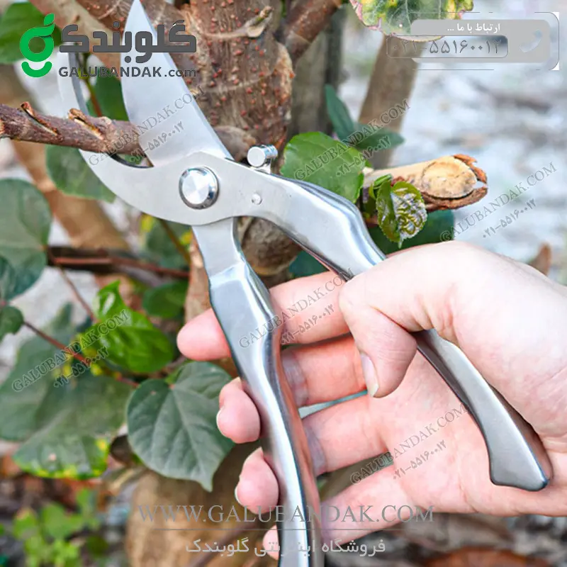 قیچی باغبانیو هرس استیل