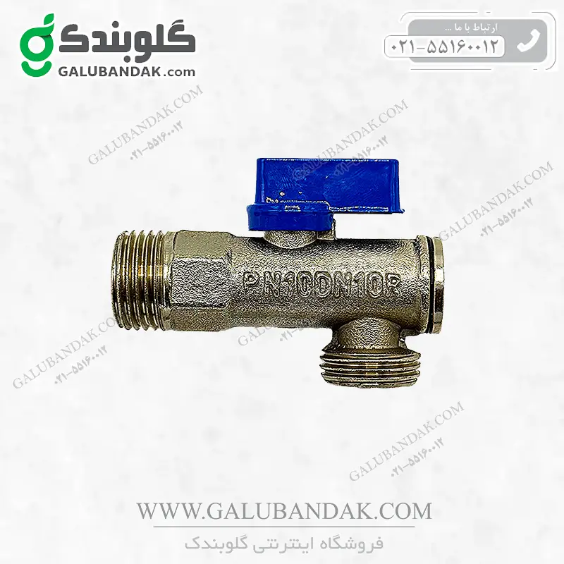 شیر پیسوار تک شیر برنجی بهامین