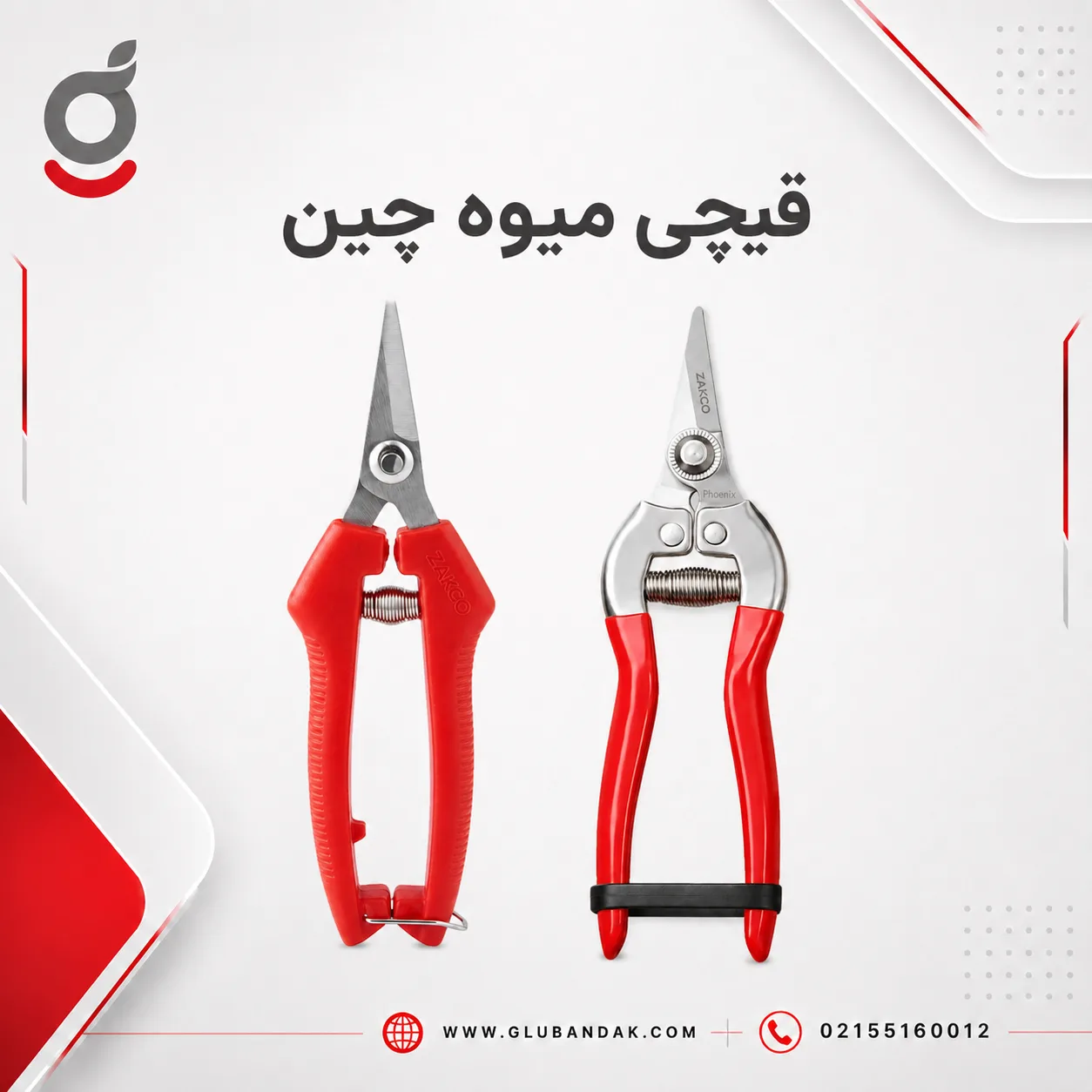 قیچی میوه چین